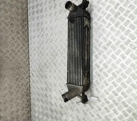 Intercooler radiator