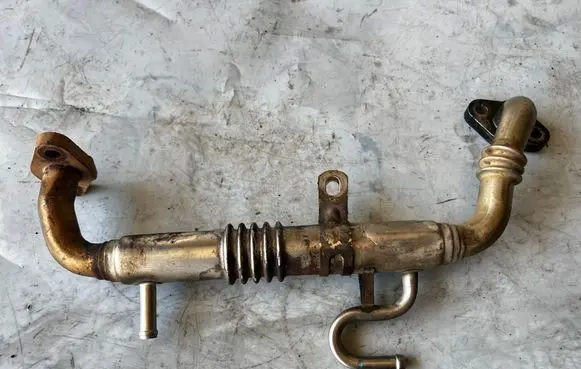 Toyota RAV 4 (XA20) EGR valve cooler