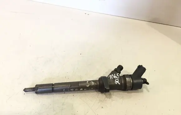 Citroen C5 Fuel injector 0445110036 9637277980
