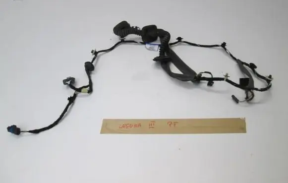 Renault Laguna III Rear door wiring loom 403885541R