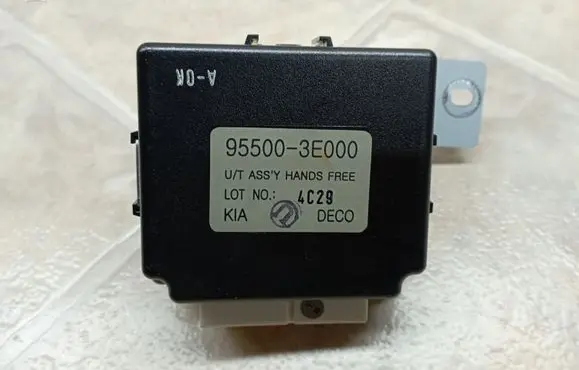 KIA Sorento Other control units/modules 955003E000