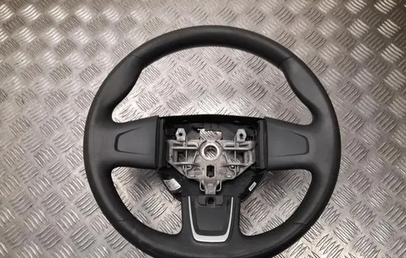 Renault Master III Steering wheel 484001101R