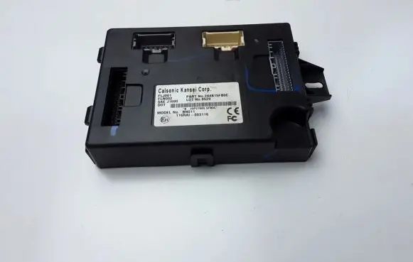 Nissan Micra K14 Comfort/convenience module 116RAI003116