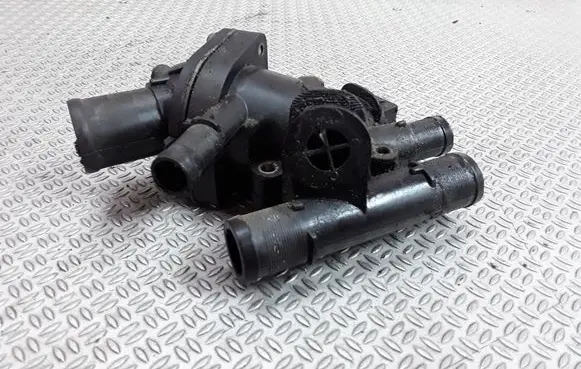 Thermostat/thermostat housing