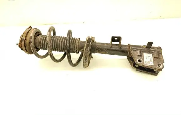 Chrysler Pacifica Front shock absorber with coil spring P68248726AD 05818122449