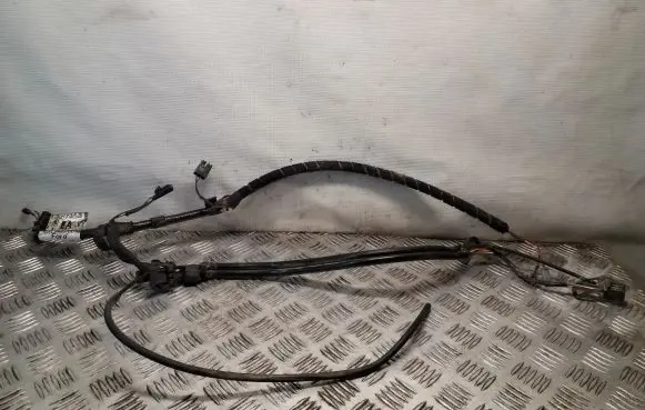Rear door wiring loom