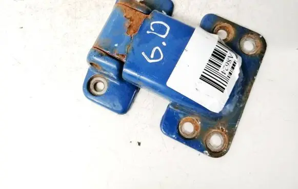Rear door lower hinge