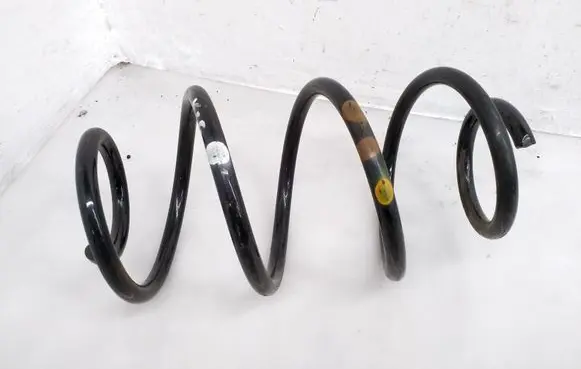 Rear coil spring