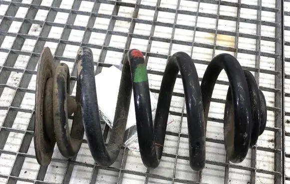 Rear coil spring