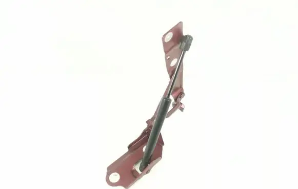 Tailgate/trunk/boot hinge