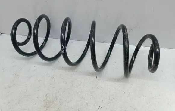 Rear coil spring
