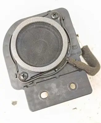 Panel speaker