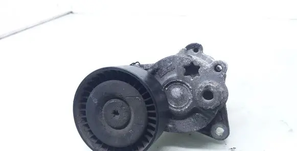 Mercedes-Benz C W203 Alternator belt tensioner A646200270