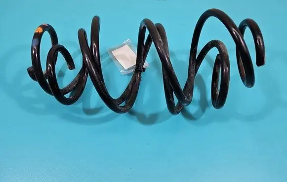 Rear coil spring