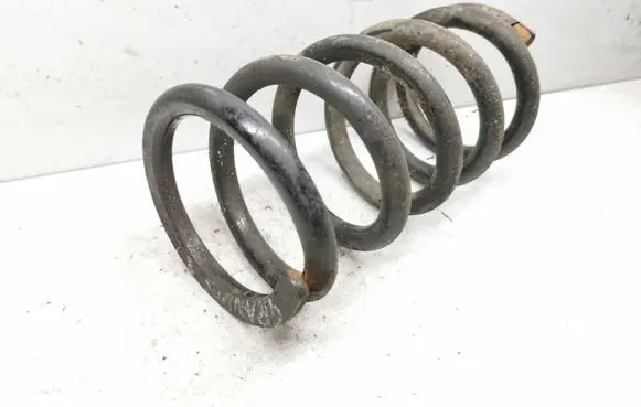 Mitsubishi Grandis Rear coil spring