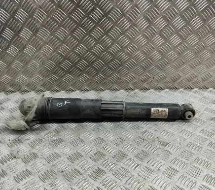Audi Q4 Sportback e-tron Rear shock absorber/damper 1EA512013AL