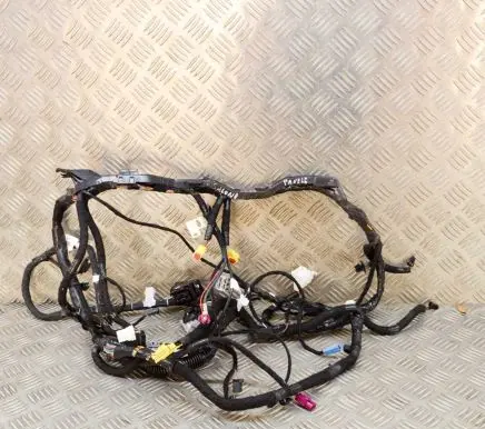 Tesla Model 3 Other wiring loom 311769000B