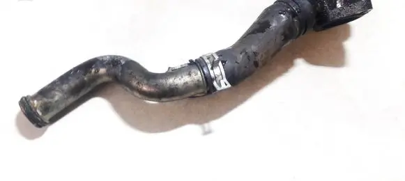 Citroen Xsara Picasso Engine coolant pipe/hose