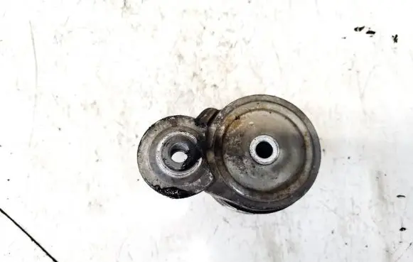 Iveco Daily 40.8 Generator/alternator belt tensioner