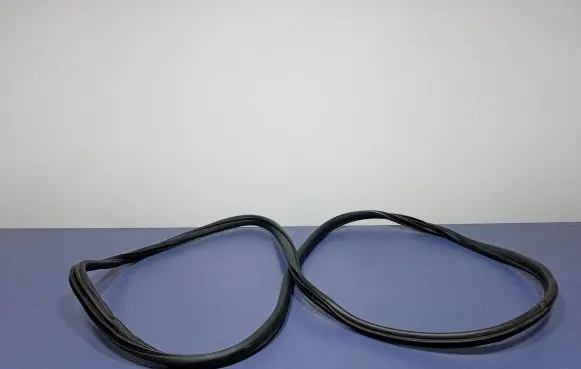 BMW X5M E70 Front door rubber seal 7234931