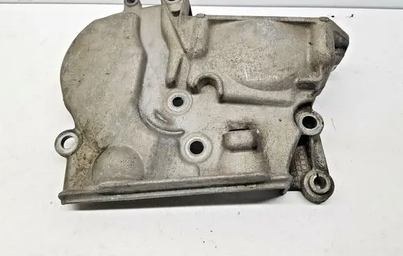 Renault Scenic I Engine cover (trim) 029604 nr8374