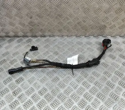 Audi A4 S4 B9 8W Other wiring loom 8W2971111D