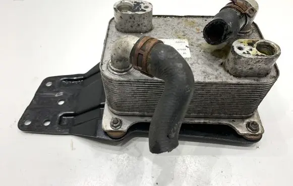 Volkswagen Phaeton Engine oil radiator 3D0409061H