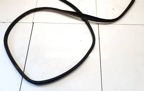 Ford C-MAX II Rubber seal rear door 