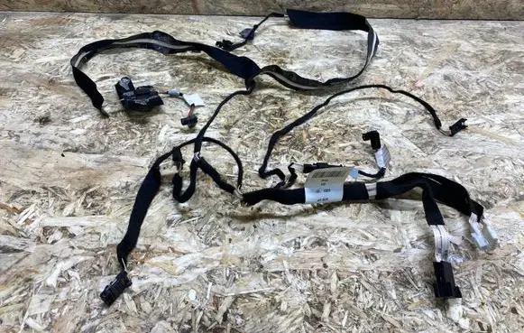 Mercedes-Benz CL C216 Front door wiring loom 2165400805