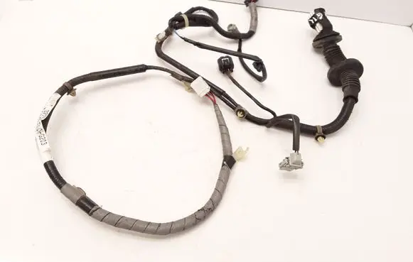 Rear door wiring loom
