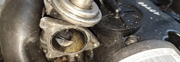EGR valve