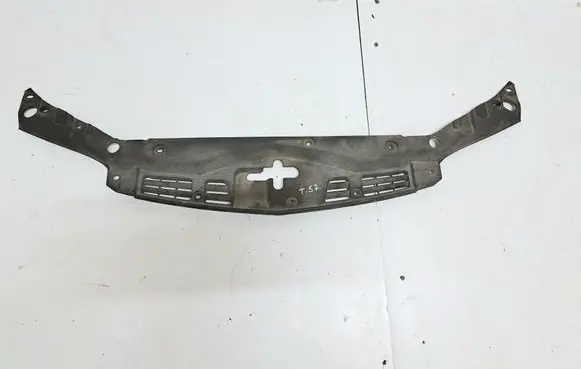 Honda Accord Radiator trim 