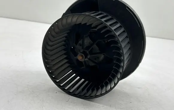 Volkswagen Tiguan Heater fan/blower