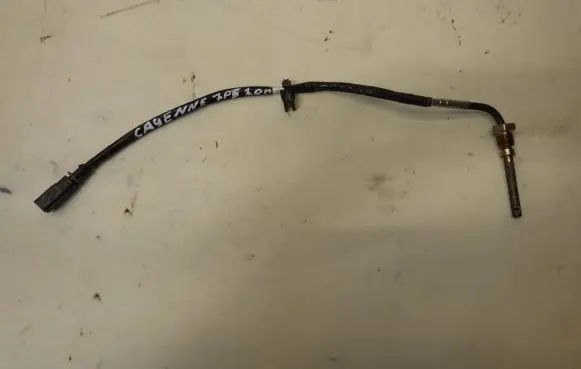 Porsche Cayenne (92A) Exhaust gas temperature sensor