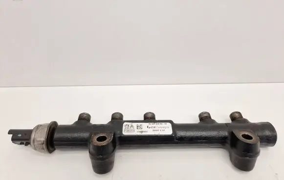 Citroen Berlingo Fuel main line pipe 9684753080 28497Z01 110830091