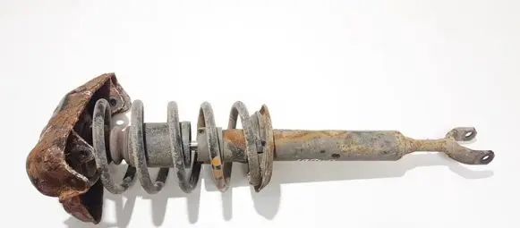 Volkswagen PASSAT B5 Front shock absorber/damper 3b0413031