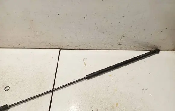 Tailgate/trunk strut/damper