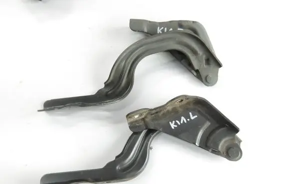 Engine bonnet/hood hinges