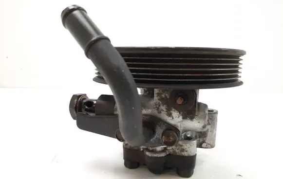 Hyundai Santa Fe Power steering pump 5710026100