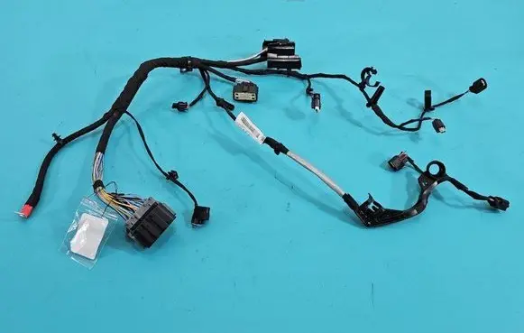 Other wiring loom