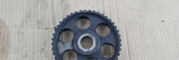 Volkswagen Sharan Camshaft pulley/ VANOS 069109111