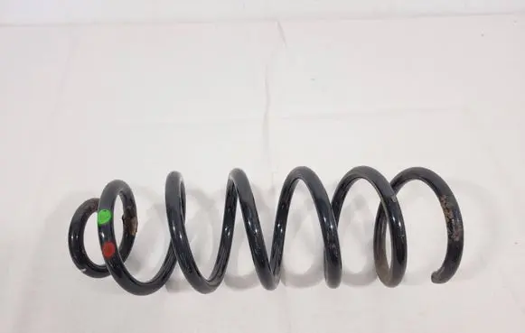 Rear coil spring