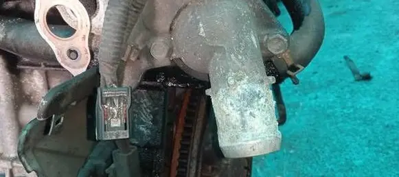 Honda CR-V Engine coolant pipe/hose