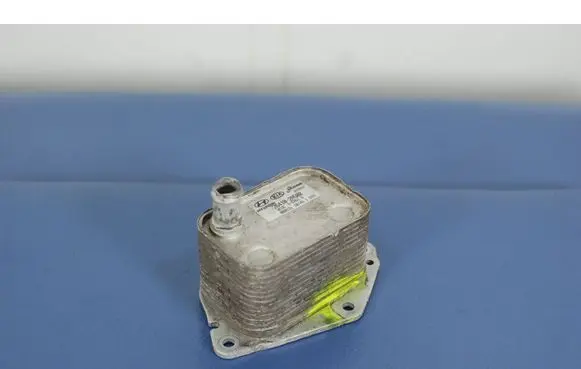 Hyundai i30 Engine oil radiator 264102A500