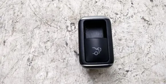 Tailgate opening switch