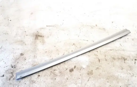 Front door trim (molding)