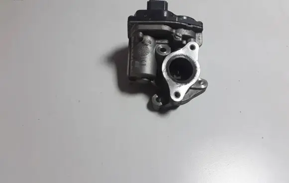 EGR valve