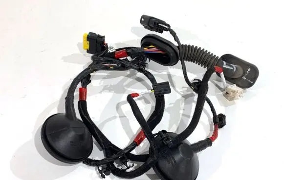 Rear door wiring loom