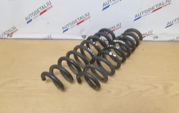 Rear coil spring