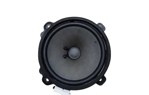 Opel Antara Rear door speaker 25907870